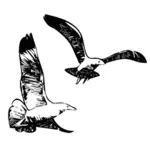 Сельди чайки летят векторной графики